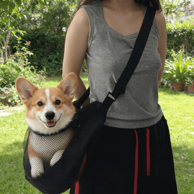 Lightweight Breathable Mesh Do - Travel Accessories For Dogs ulasan dan harga