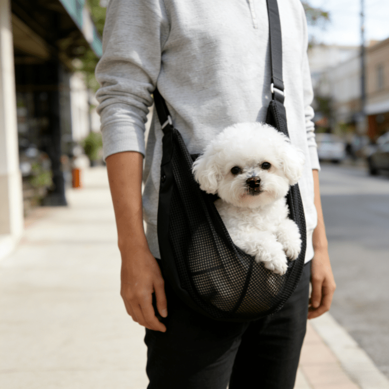 Lightweight Breathable Mesh Do - Travel Accessories For Dogs ulasan dan harga