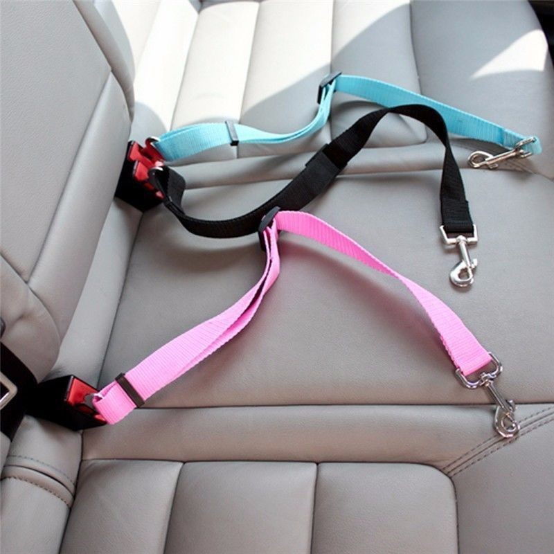 Cat Car Seat Belt Dog Accessor - Travel Accessories For Dogs ulasan dan harga
