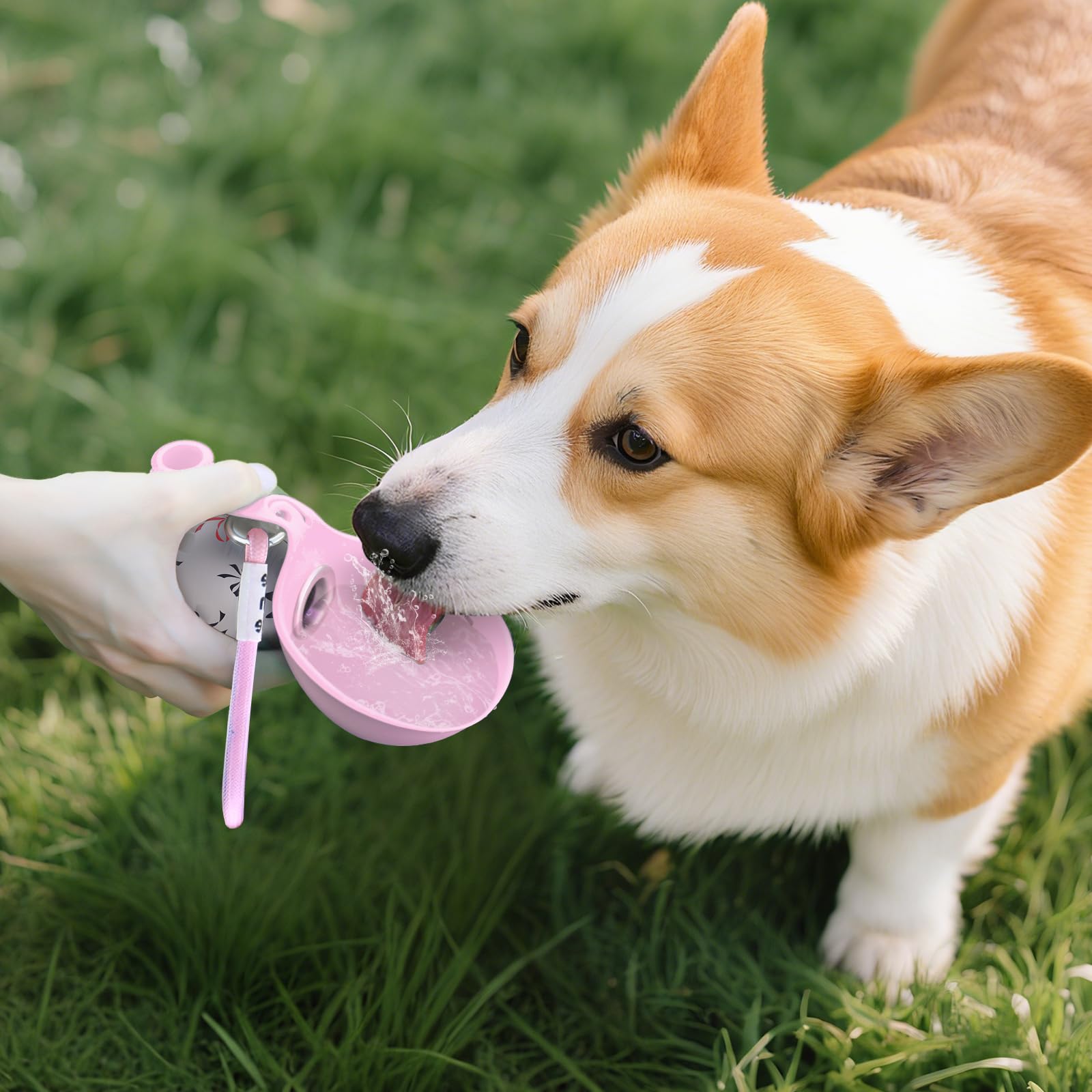 2-in-1 Portable Dog Water Bott - Travel Accessories For Dogs ulasan dan harga