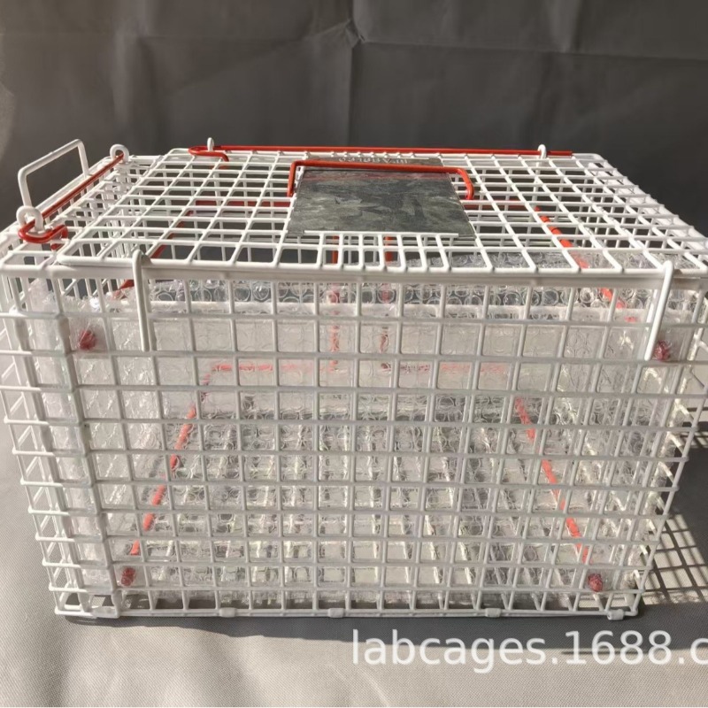 Pet Restraint Cage Veterinary  - Travel Accessories Dropshipping ulasan dan harga